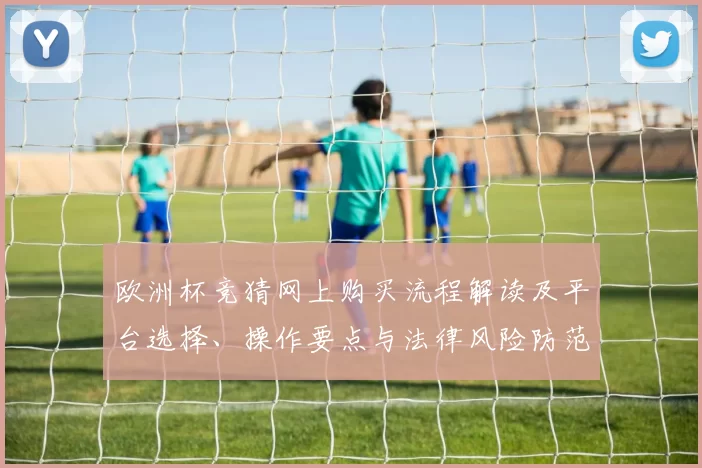欧洲杯竞猜网上购买流程解读及平台选择、操作要点与法律风险防范建议